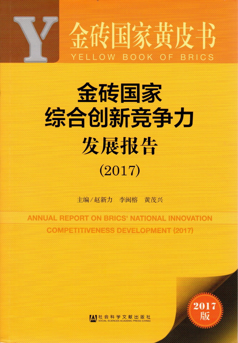 大黑鸡巴操骚逼金砖国家综合创新竞争力发展报告（2017）